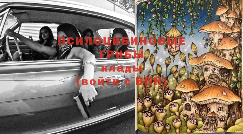 Галлюциногенные грибы MAGIC MUSHROOMS  Боровск 